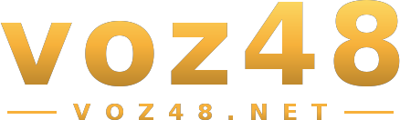 voz48 logo